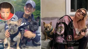 Read more about the article Lady Gaga Dog Walker Shooter: Jailed for 21 Years