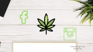 Read more about the article Positive Information About Cannabis Through Social Media Is Linked To Youth Goals